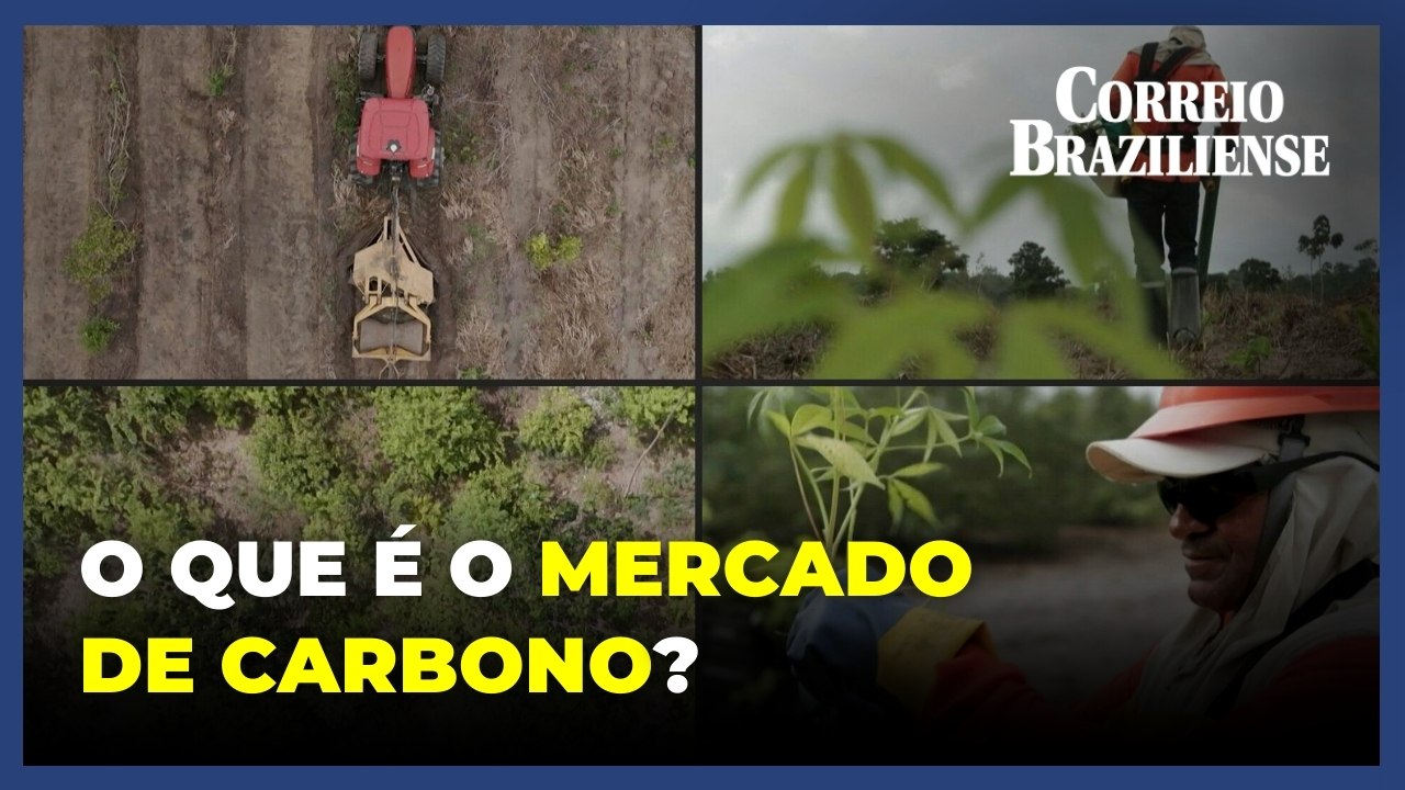 Mercado de carbono: o que é e como funciona no Brasil?