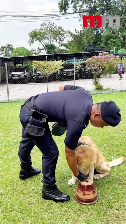 An Insight into Malaysia's Elite K9 Unit