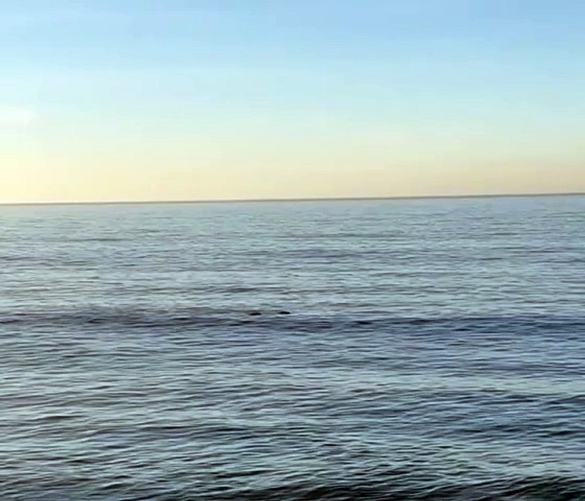 Tina Knowles/mamá Beyoncé