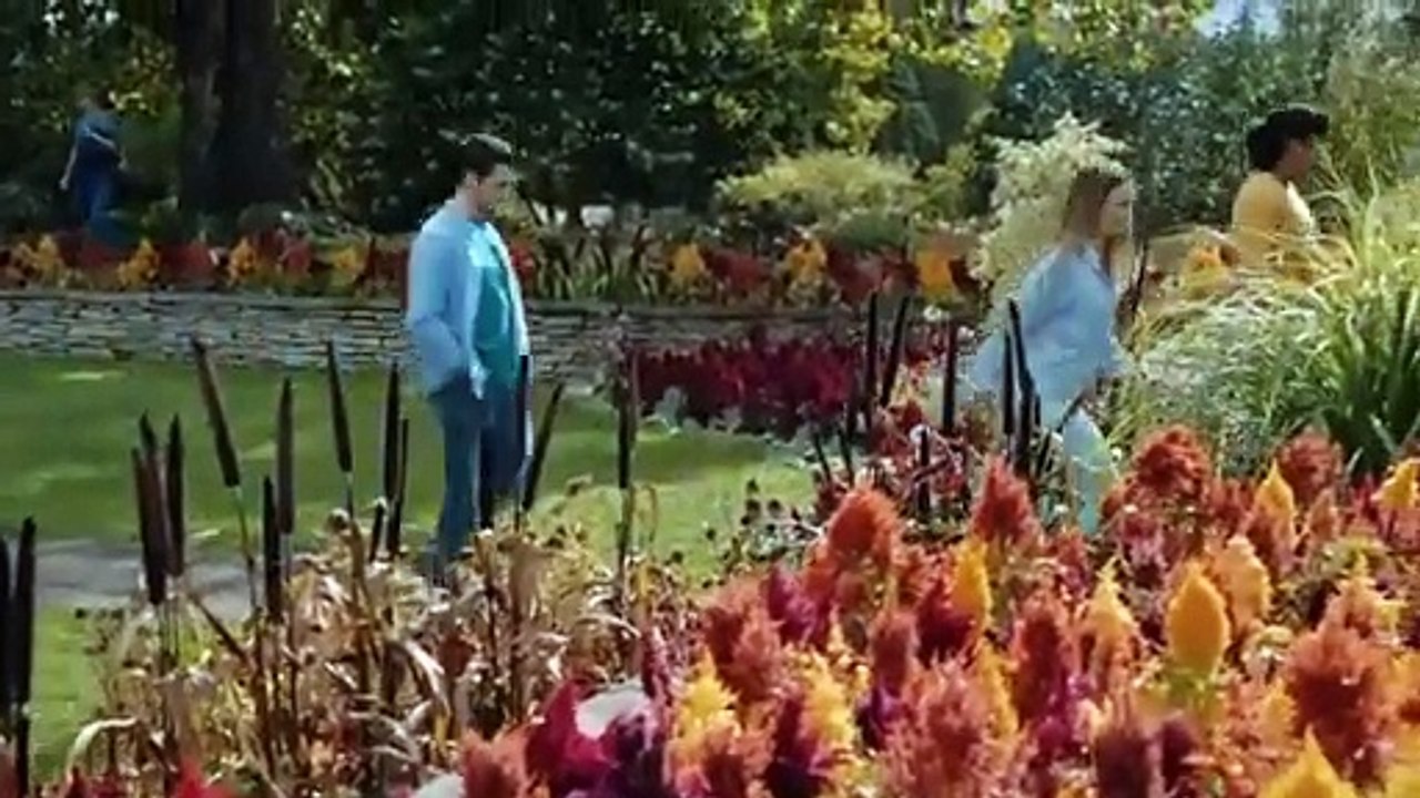 Great Hallmark Movies 2025 - New Hallmark Christmas 2025 - Best Hallmark Romance 2025 - Holiday 2025