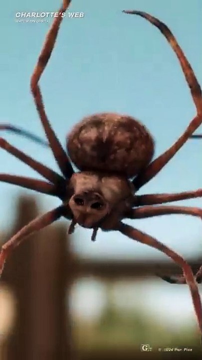 Chill Guy's Top Netflix Films of 2025 🎬