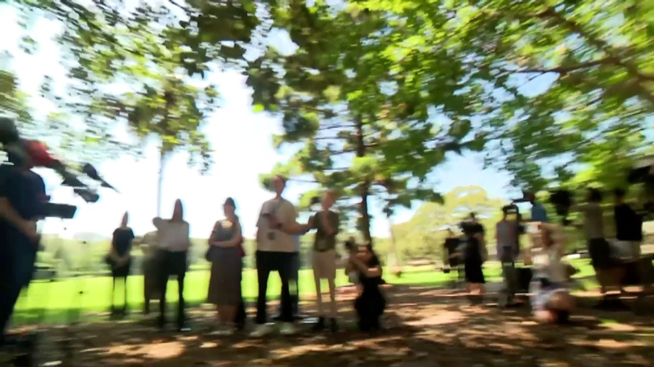 Health workers fear 'apocalyptic' outcomes for NSW emergency departments to follow psychiatrist exodus