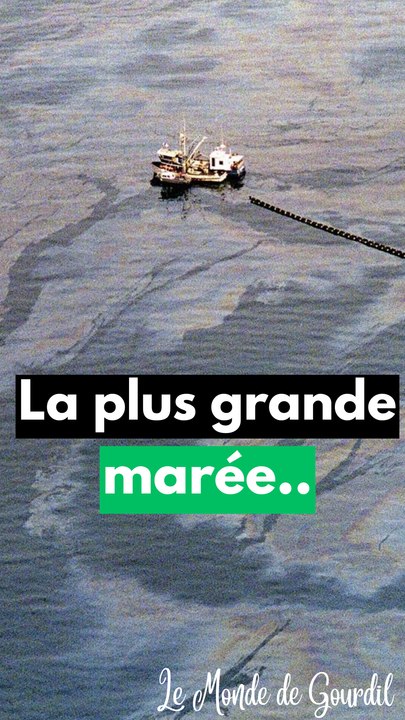 Le plus grand écocide !