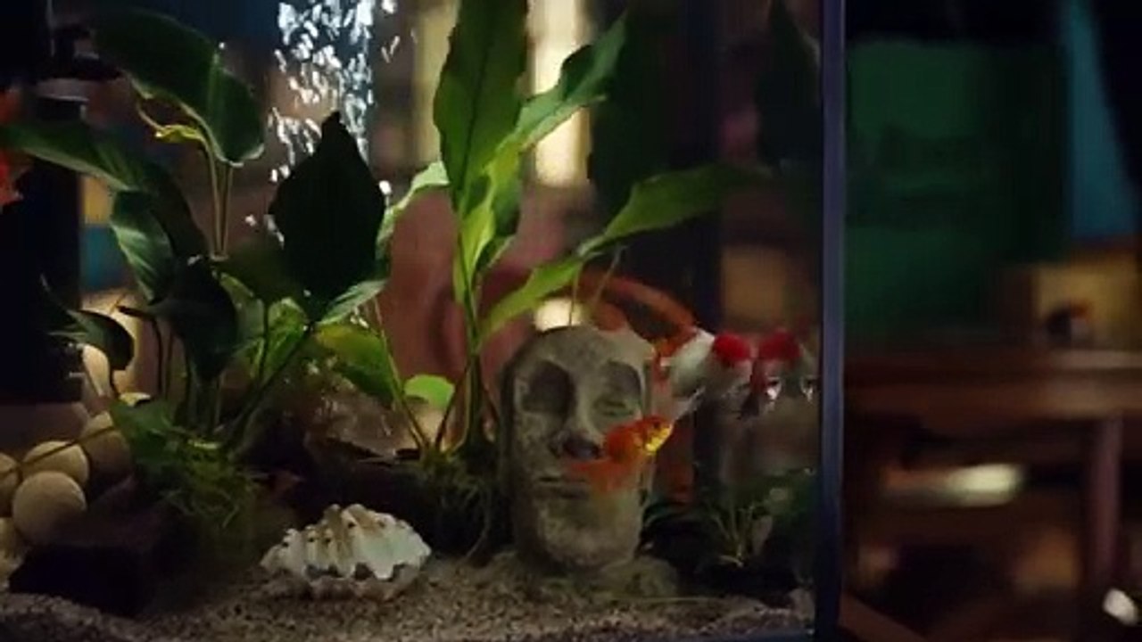 Jori Epstein on Kellen Moore, if Dak has influence on coaching discussions