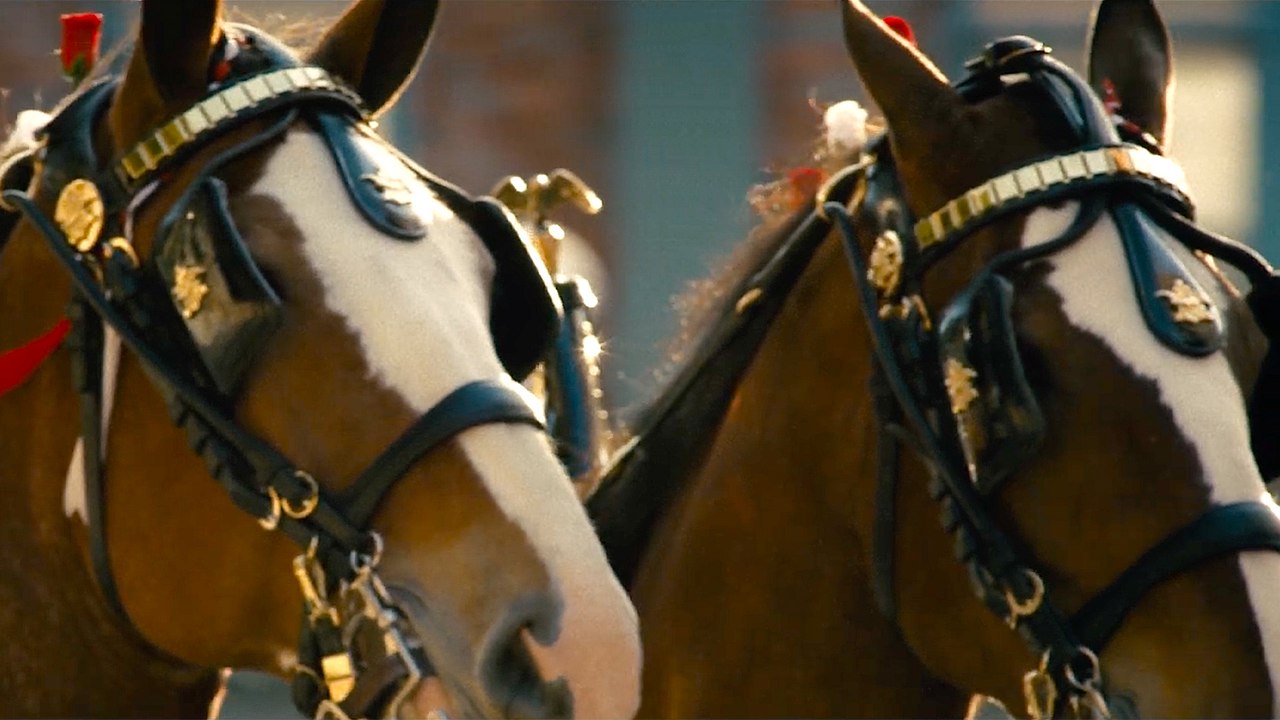 Budweiser Teases Heartwarming Super Bowl 2025 Commercial 🌟