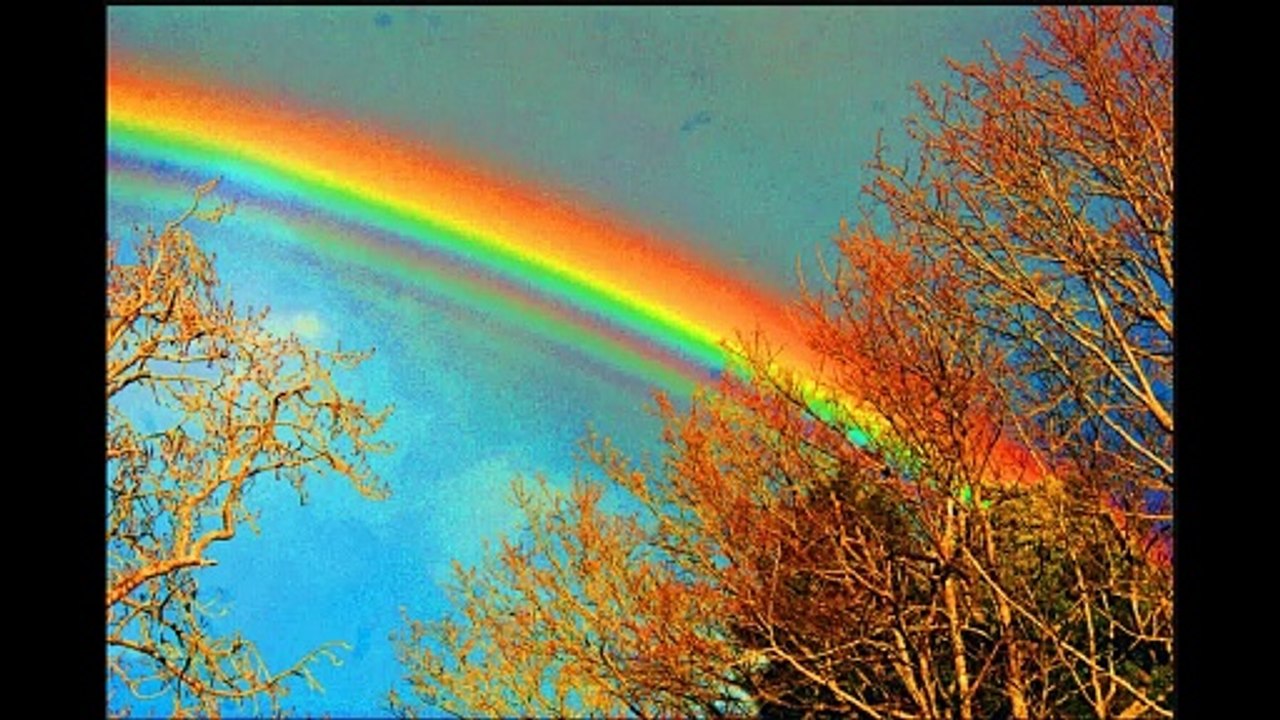 Mathematics: The Language of the Universe