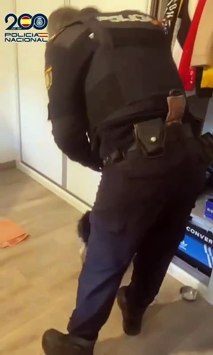 La operación antidroga llevada a cabo en Segovia acaba con doce detenidos