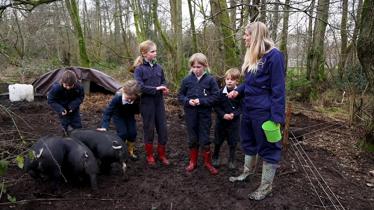 Thorngrove School - Berkshire Pigs
