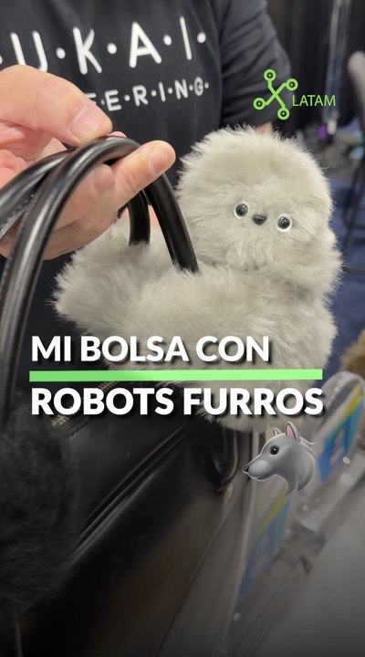 Robots Furros Shine at CES 2025 🤖