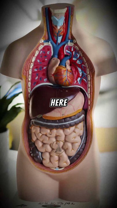 Start seeing viruses for what they really are