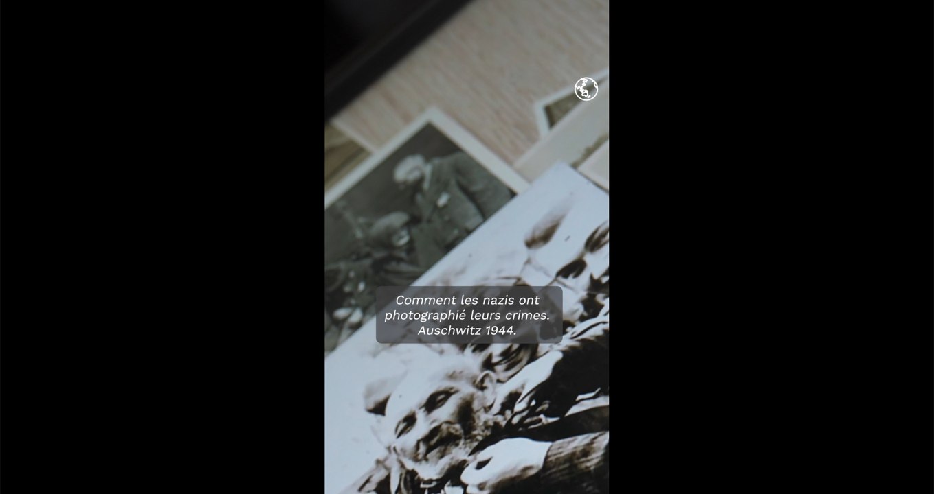 L'album d'Auschwitz : comment les nazis ont photographié leurs crimes