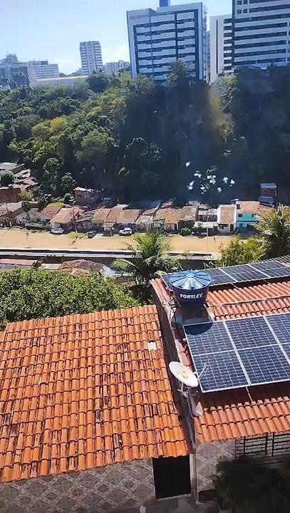 Vídeo mostra "comemoração" no Vale do Reginaldo após morte de traficante