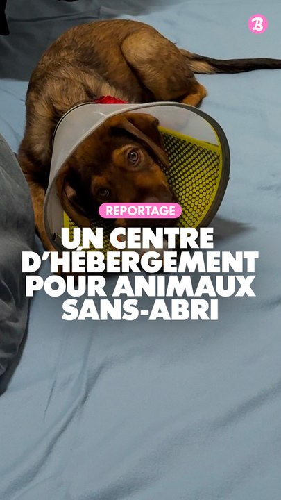 Reportage : Gamelles pleines