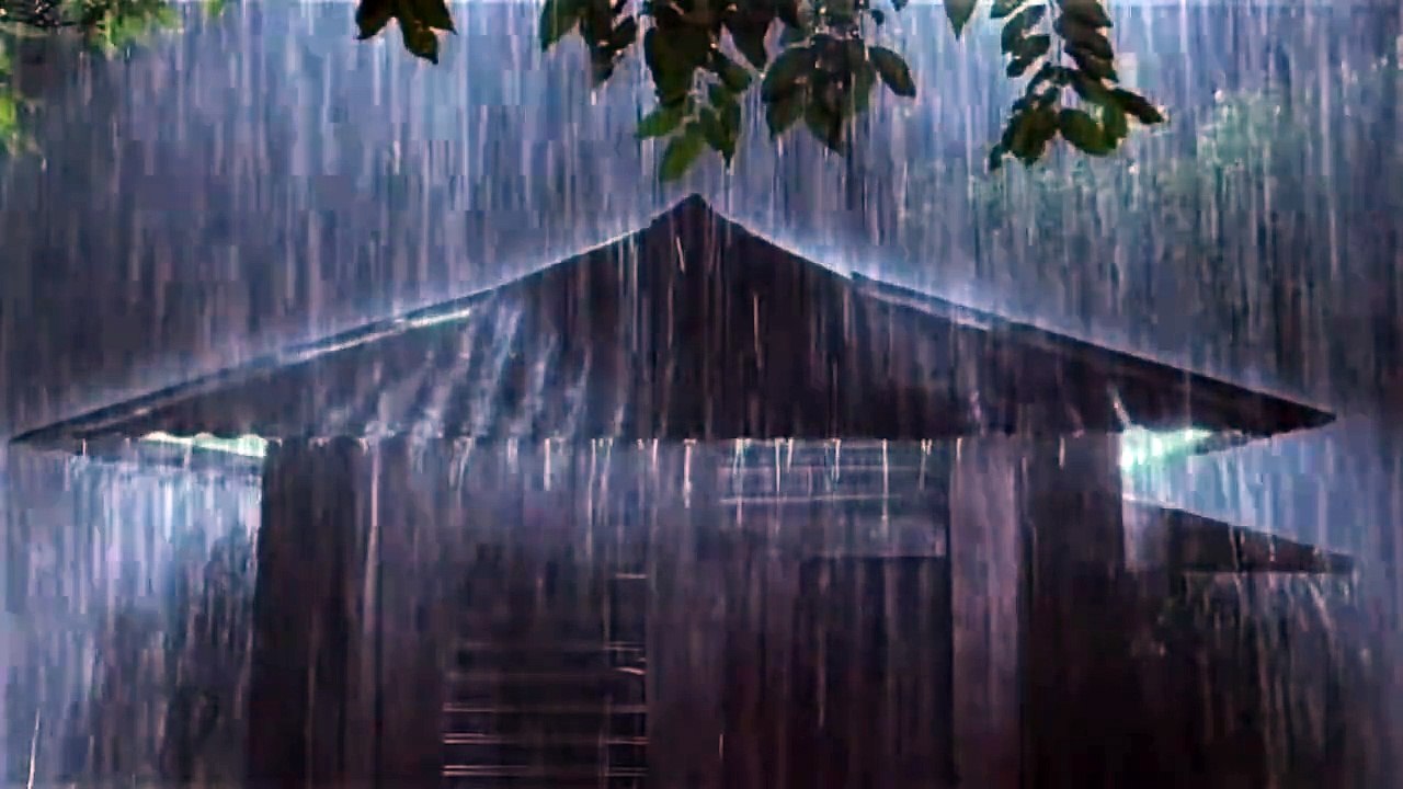 gentle night rain, rain sounds