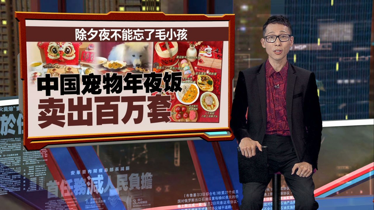 中国宠物店推出“宠物年夜饭”套餐  网民：连狗都吃得比主人好！