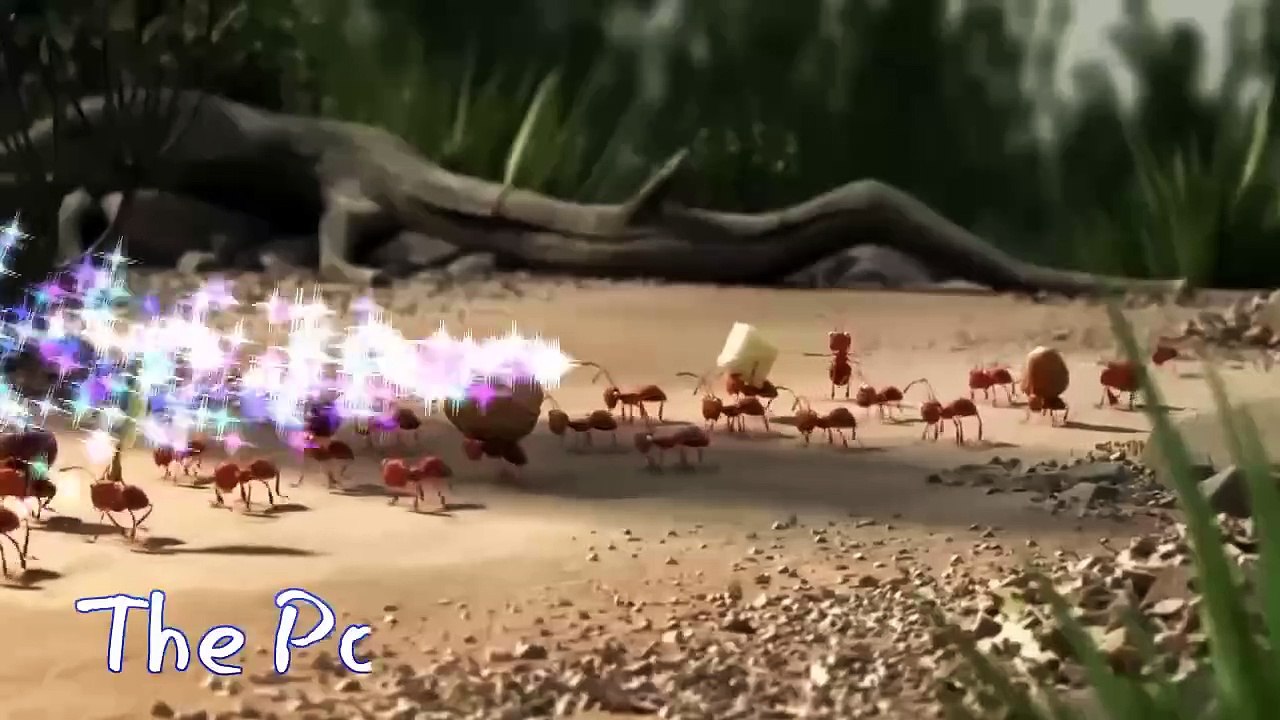 Leadership and effective collaboration.