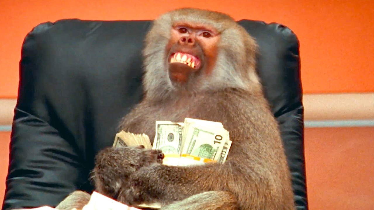 Hims & Hers Super Bowl 2025 Commercial: Challenging Healthcare Norms 🏥