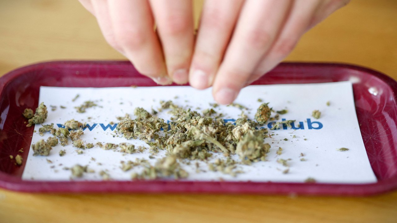 Wird die Union die Cannabis-Legalisierung zurücknehmen?