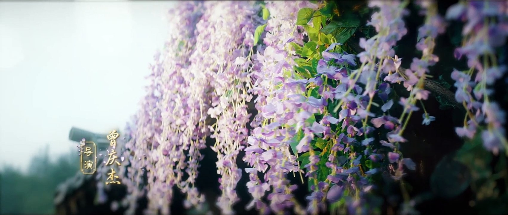 Indo Sub Blossom Chinese Drama Episode 10 – Watch Now!