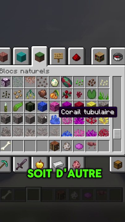 Comment avoir un chien dans Minecraft ?