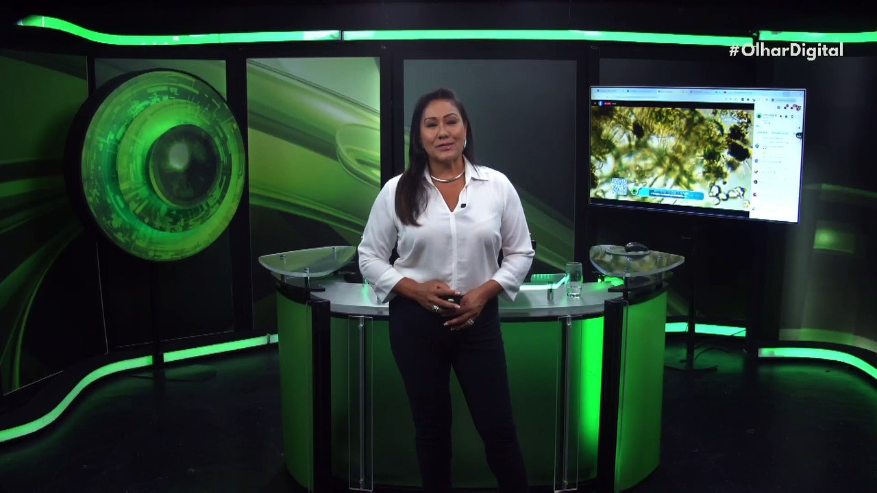 Ponto-chave da evolução da vida complexa é reproduzido em laboratório