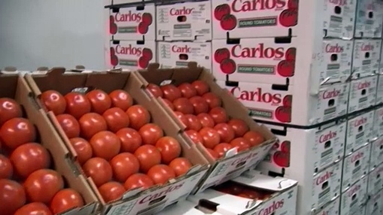 Trump's trade war salvo rocks global markets