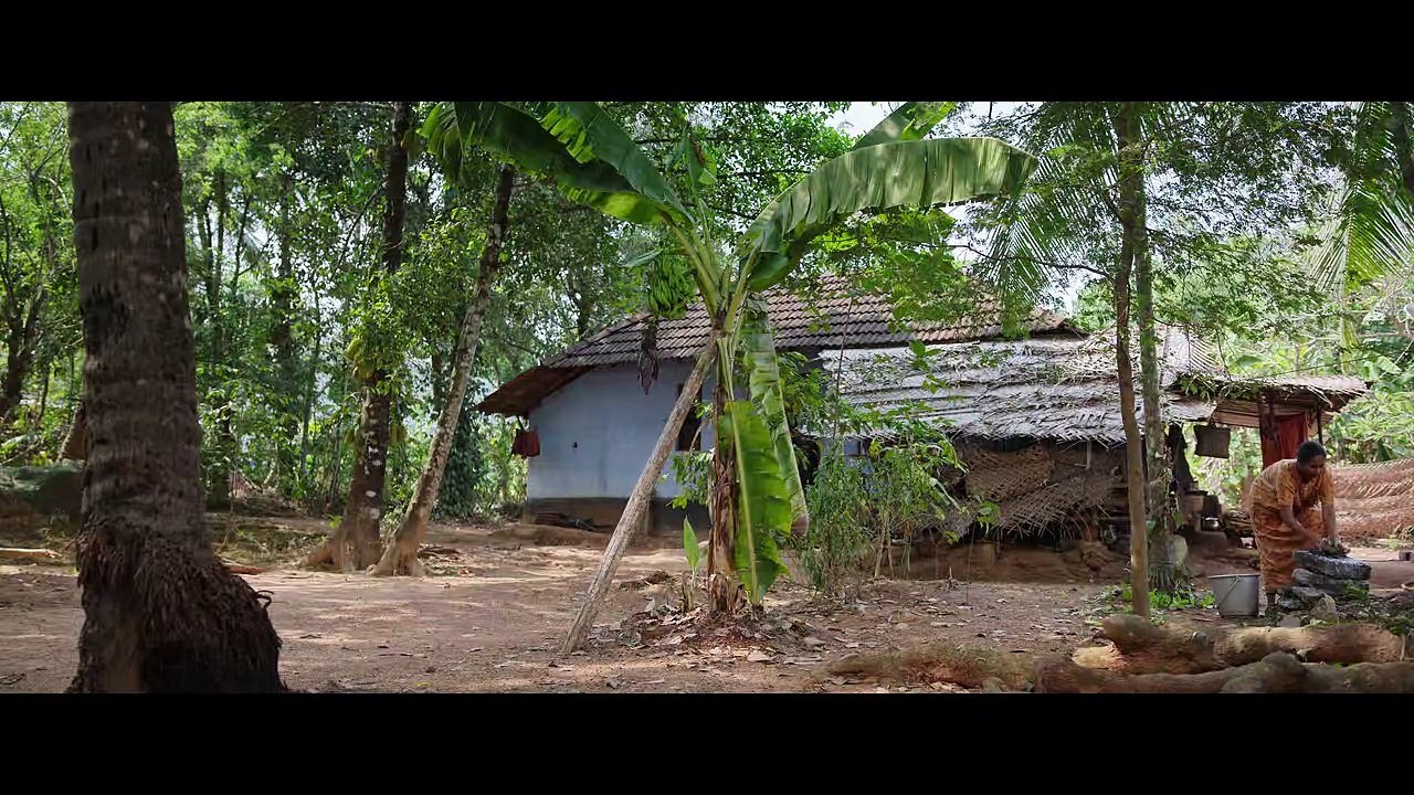 Vaazha  Malayalam movie part 1