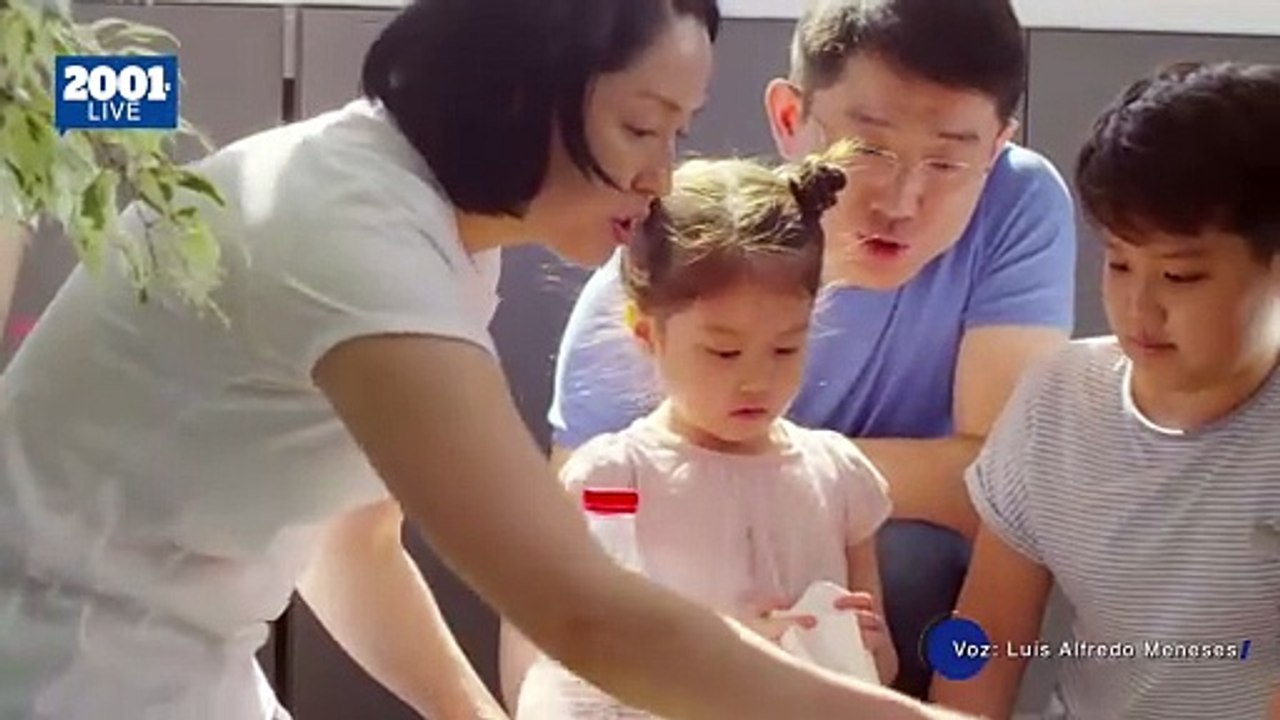 5 herramientas clave para tareas domésticas eficientes