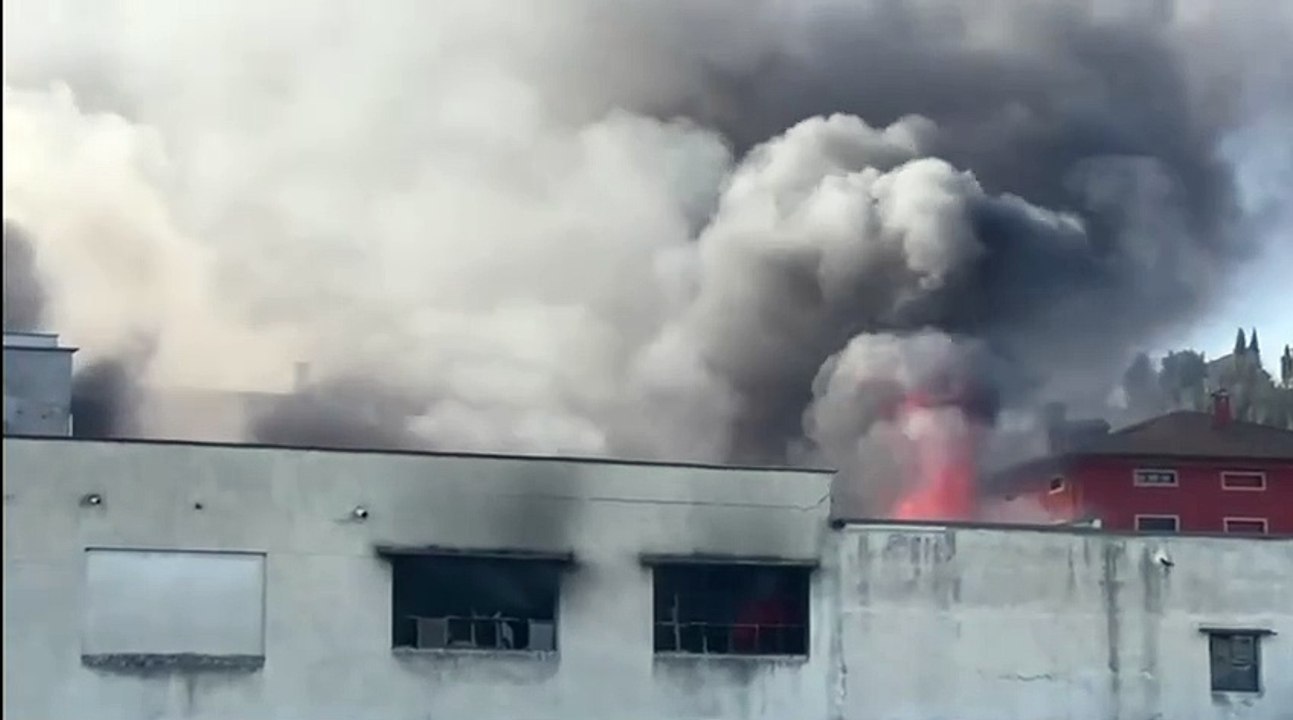 Citt? di Castello, incendio nell'azienda "Ivo Alberti" di Lerchi