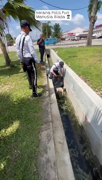 3警察大爱精神 下沟救受伤流浪狗