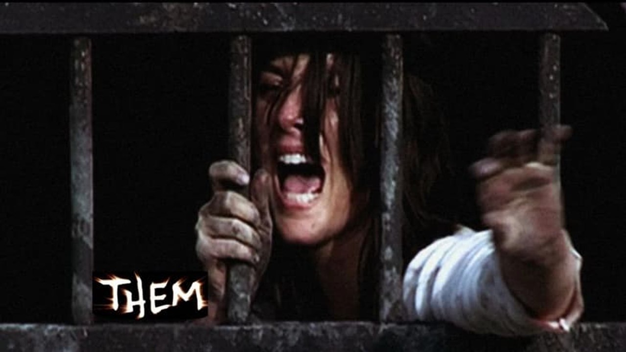 L'HISTOIRE VRAIE du film d'horreur "ILS".