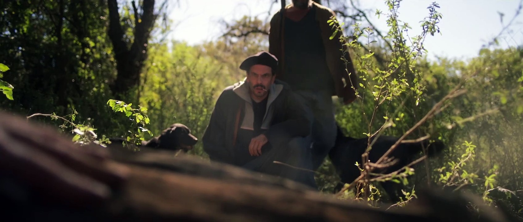 When Evil Lurks Trailer DF