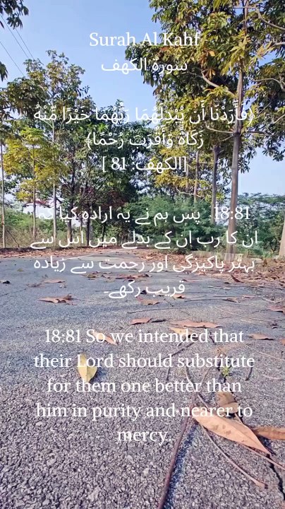 And we intended that their Lord should substitute for them one better than him in purity and nearer in affection." #Quran #Islam #VerseOfTheDay