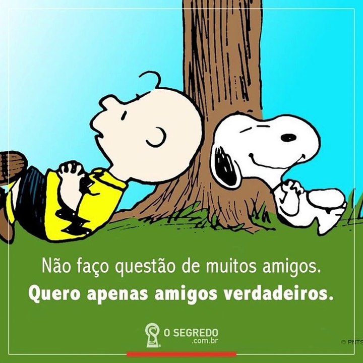 Snoopy Melhores Lições