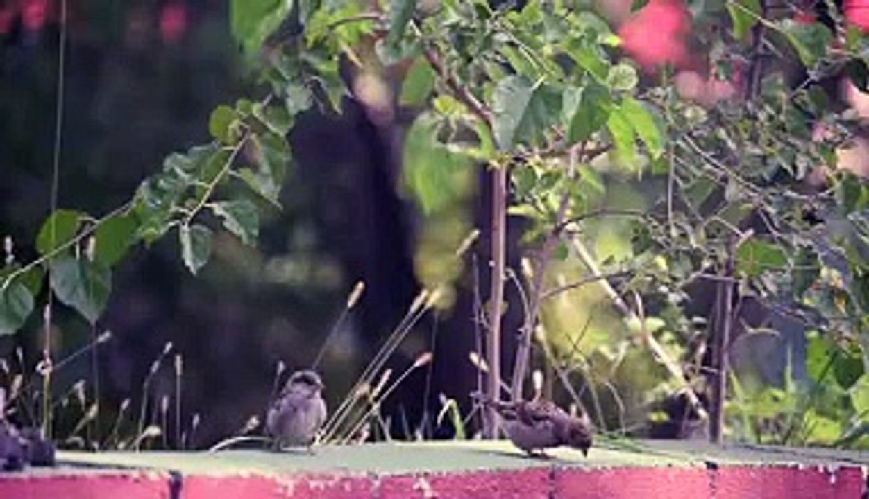 In article In article In article