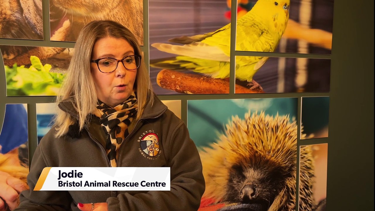 86% of owners say costs have increased:-Are locals concerned about the cost of keeping a pet?