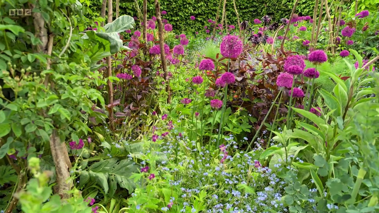 Gardeners World 2025 Compilations episode 1