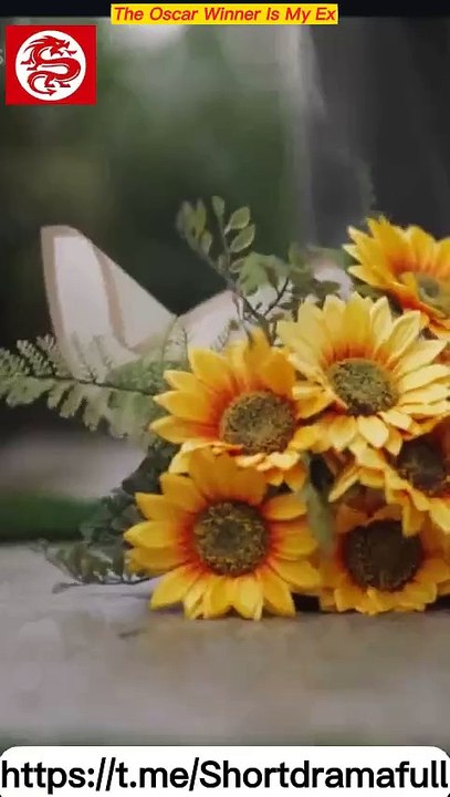 The Oscar Winner Is My Ex Full