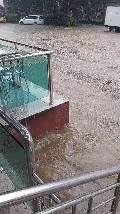 雪州多区突发水灾 2树倒 毁4车