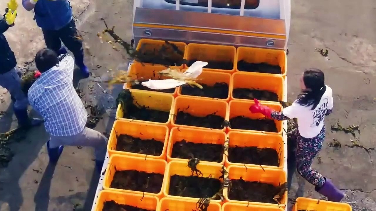 Villager Boy Falls In love With City Girl. Kdrama Recap, Korean Drama Recap, Korean Dramas, Kdramas