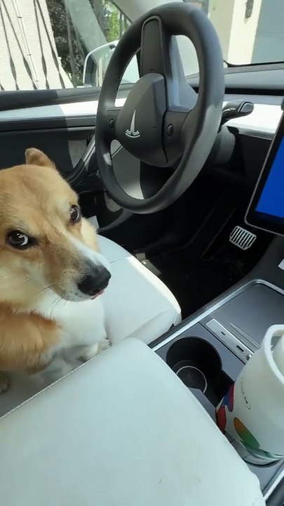 Ma Tesla a eu un écran bleu du bug Windows…