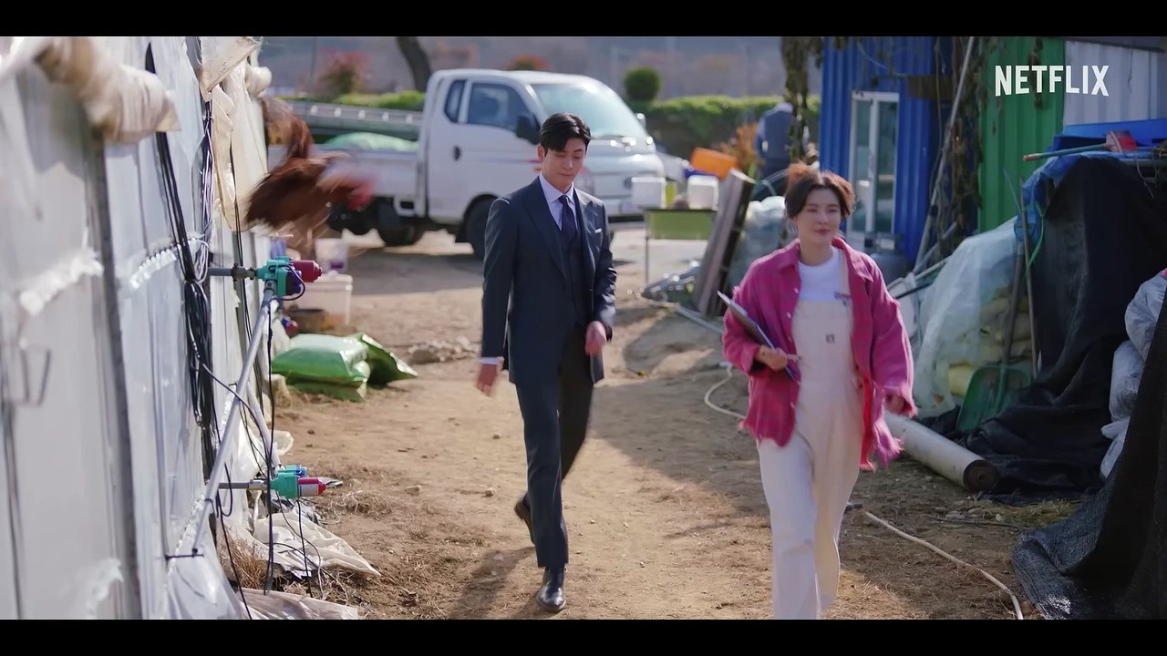 Amor e Batatas | TRAILER OFICIAL | Netflix