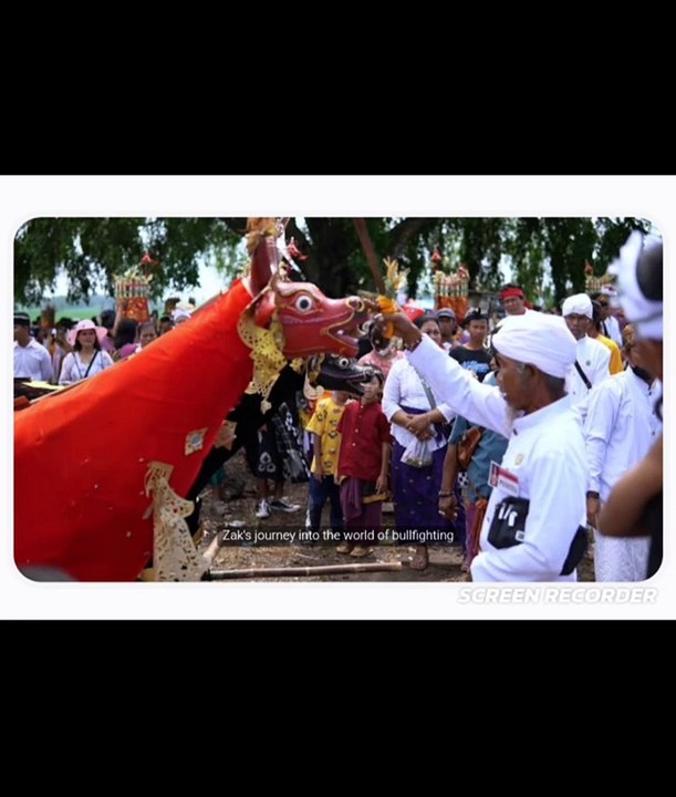 Zack decided to become a bullfighter #AI-Generated #Content