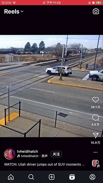 Not a single brain cell was present in this video