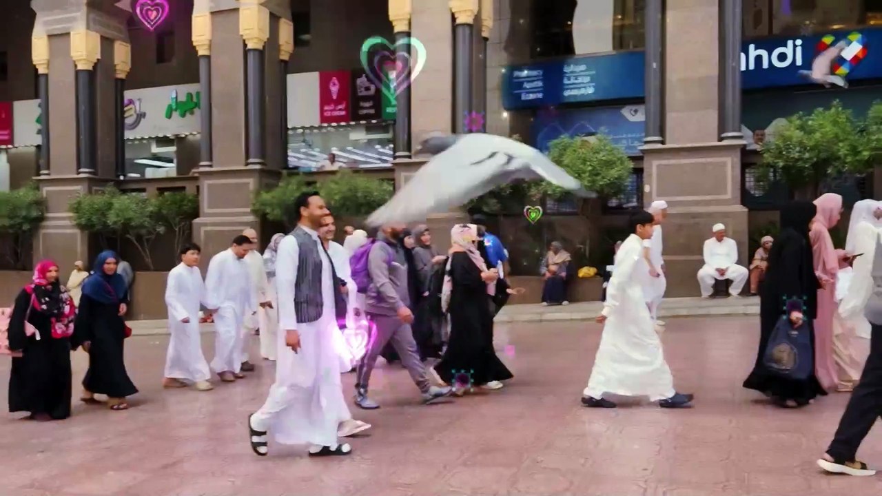 💕💍 Kubra Khan & Gohar Rasheed’s Heartwarming Nikah Video Wins Hearts! ❤️