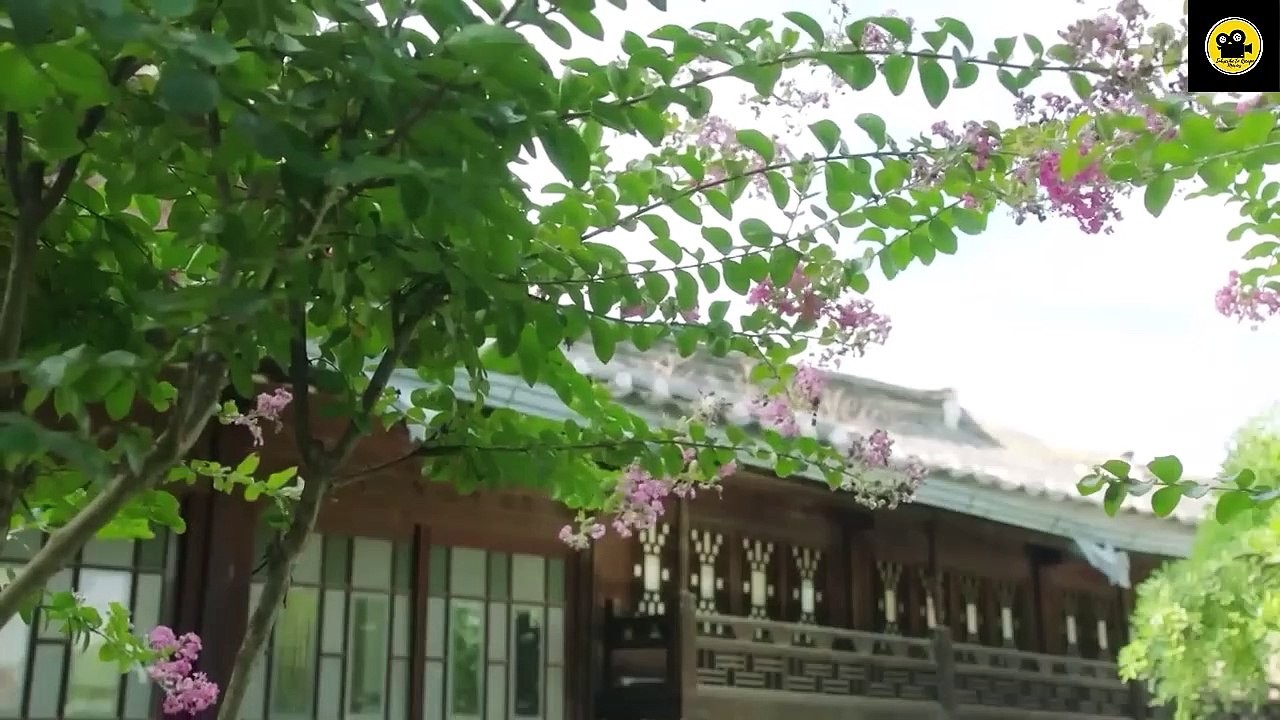 The Man with the Silver Needle – A Healer Beyond Science! 🔹