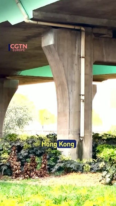 Meet SUPER: the high-speed AI drone that sees, thinks, and flies with precision