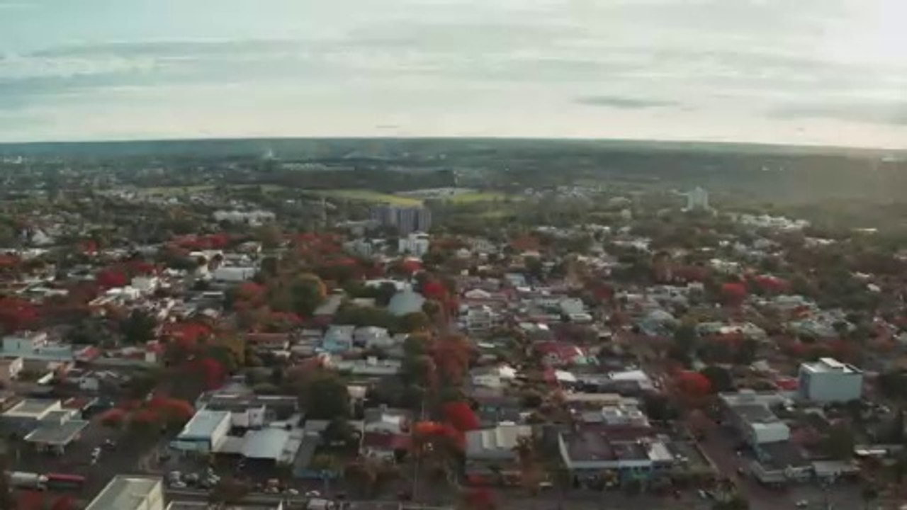 Vale Tudo Chamada Oficial