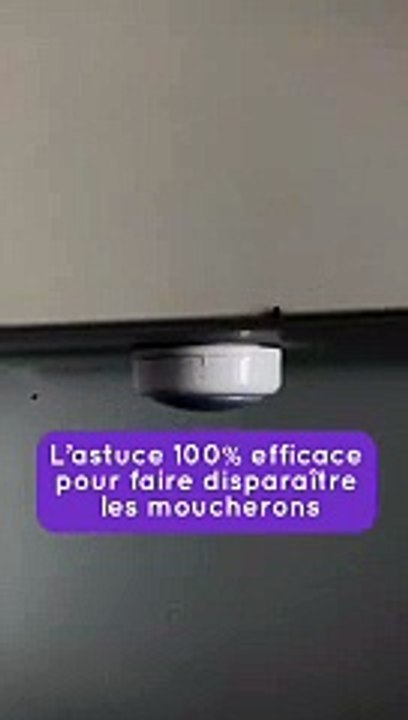 Astuce - anti moucherons