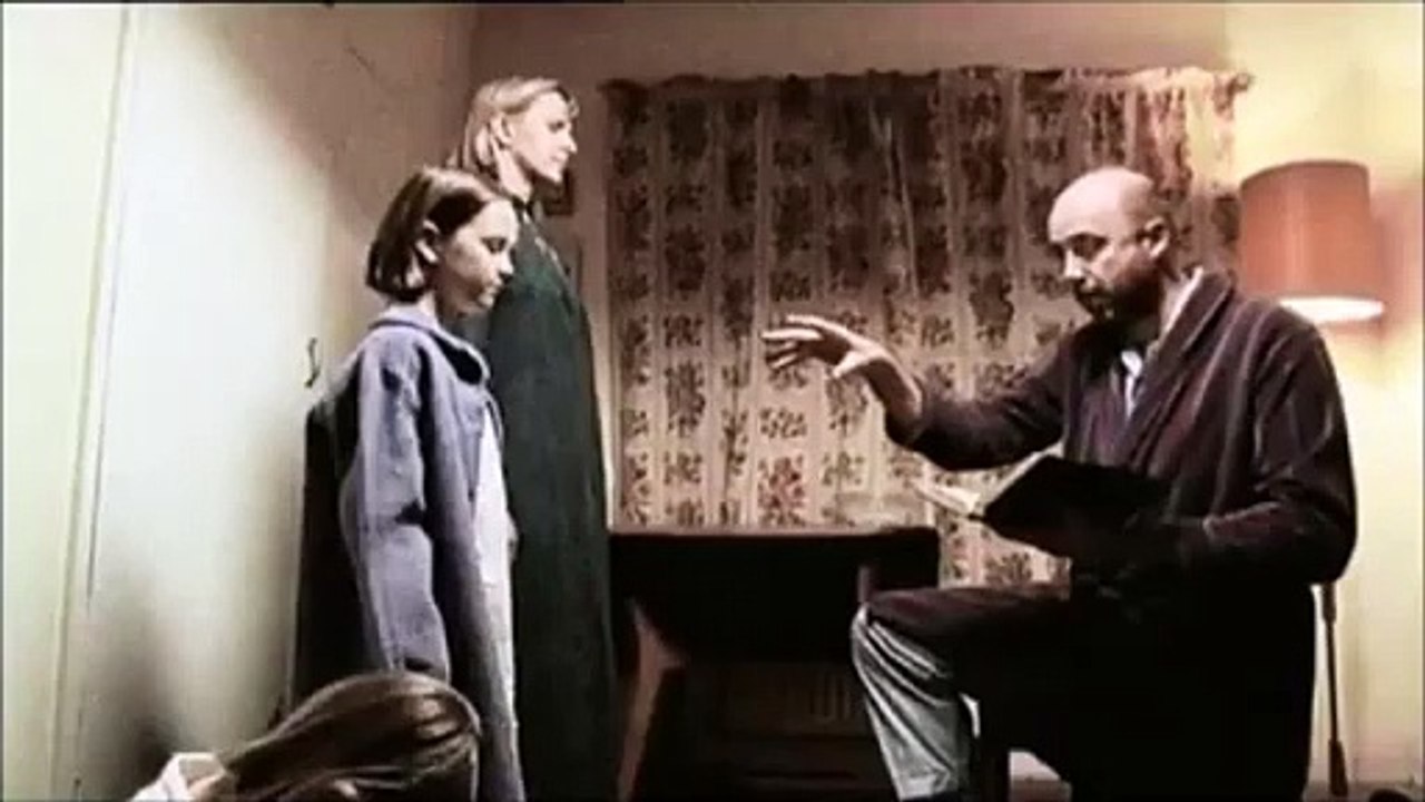 What Are Birds? 🐦